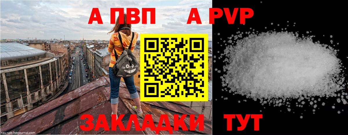 Альфа ПВП СК КРИС  закладки  Котлас  Вход с VPN 