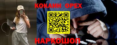 мет Кингисепп