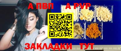 мет Кингисепп