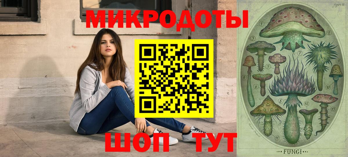 Галлюциногенные грибы прущие грибы  Галлюциногенные грибы прущие грибы  Вход с VPN  Котлас 