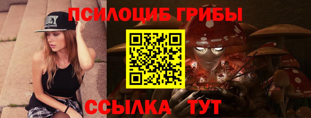 Галлюциногенные грибы прущие грибы Котлас
